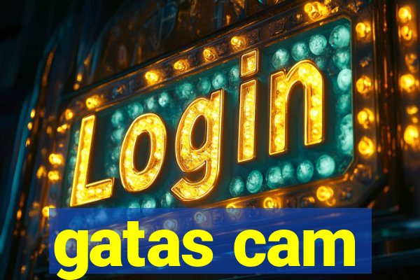 gatas cam
